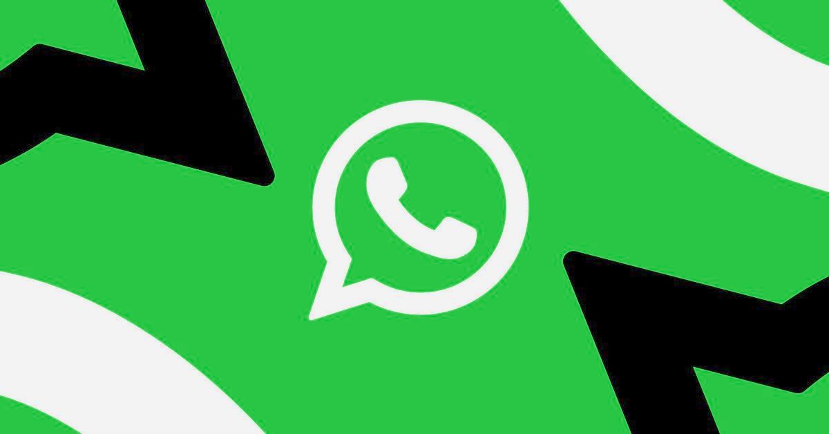 Can You Hide Your Number on WhatsApp? Full Guide to Protecting Your Privacy